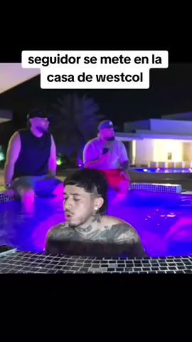 niño burla la seguridad de westcol  #westcol #twitchwestcol #westcoltiktoker #colombia #mafer_rox #nocopy #Viral #fyp #parati #funny