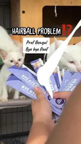 My once-stray babies now saying ‘bye bye’ to hunger, hairballs, and hard days — all thanks to a little love #cattreats #catfloof #byebyefloof #hairballproblem #drshibaandprofbengaltreats 