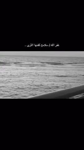 🤍 . #اكسبلور #fffffffffffyyyyyyyyyyypppppppppppp #قران_كريم #tiktok #fyp 