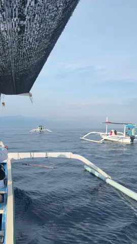 Berburu dolphins di pantai lovina #viralvideo #fyp 