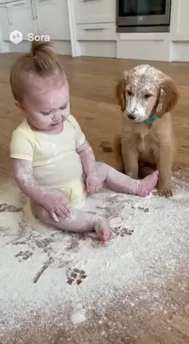 cute baby and dog 🐶🥰🥺🍼🐥🐕@cute 😍 baby 🍼 