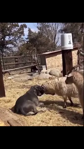 #noteconfundas  #jaja  #paratii  #paratiiiiiiiiiiiiiiiiiiiiiiiiiiiiiii 