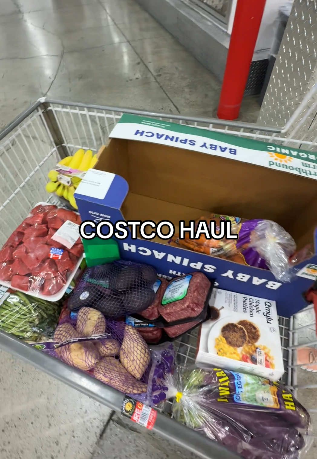 Costco hungry is literally the way to go broke🤣🤣 @Julia Hawkins #costcofinds #costco #healthandwellness #healthyliving #wellnessjourney #healthylifestyle #wellnesstok #groceryhaul 