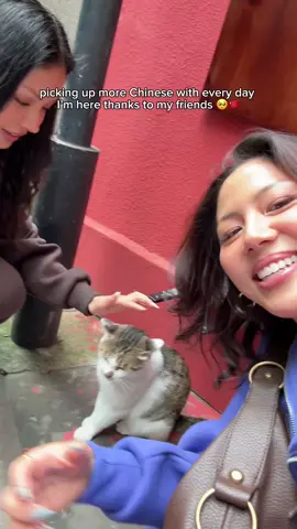 the best way to learn a language is total immersion 😍  @Sydney #learningchinese 