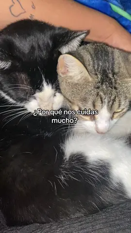 🥹#ojoturco🧿📿❤️✨ #fypシ゚ #paratiiiiiiiiiiiiiiiiiiiiiiiiiiiiiii #viraltiktok #ytd 