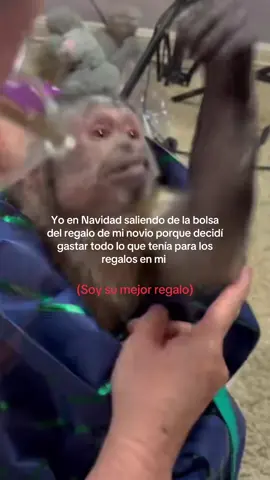 hasta salió ganando #monkeys #mono #novia #navidad 