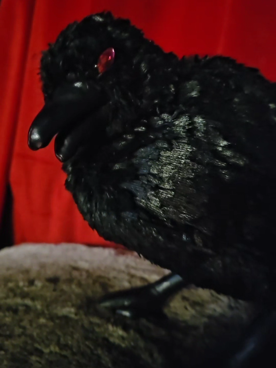 When Sylus asks for the tea on MC, trust, I deliver. #sylusloveanddeepspace #mephisto #LaDS #loveanddeepspace #n109zone 