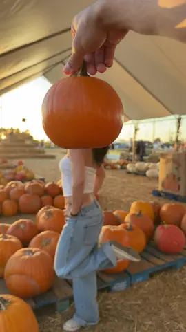 Wow so aesthetic so couple so fall #fall #couple #aesthetic #fyp #pumpkinpatch 
