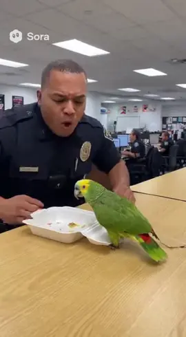 Next officer would be careful 😁#foryoupage #funnyanimals #parrot #talkingparrot 
