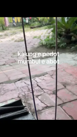 #volleyball #fyp #volytarkam 