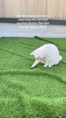 sorry about the end there she got a little eepy