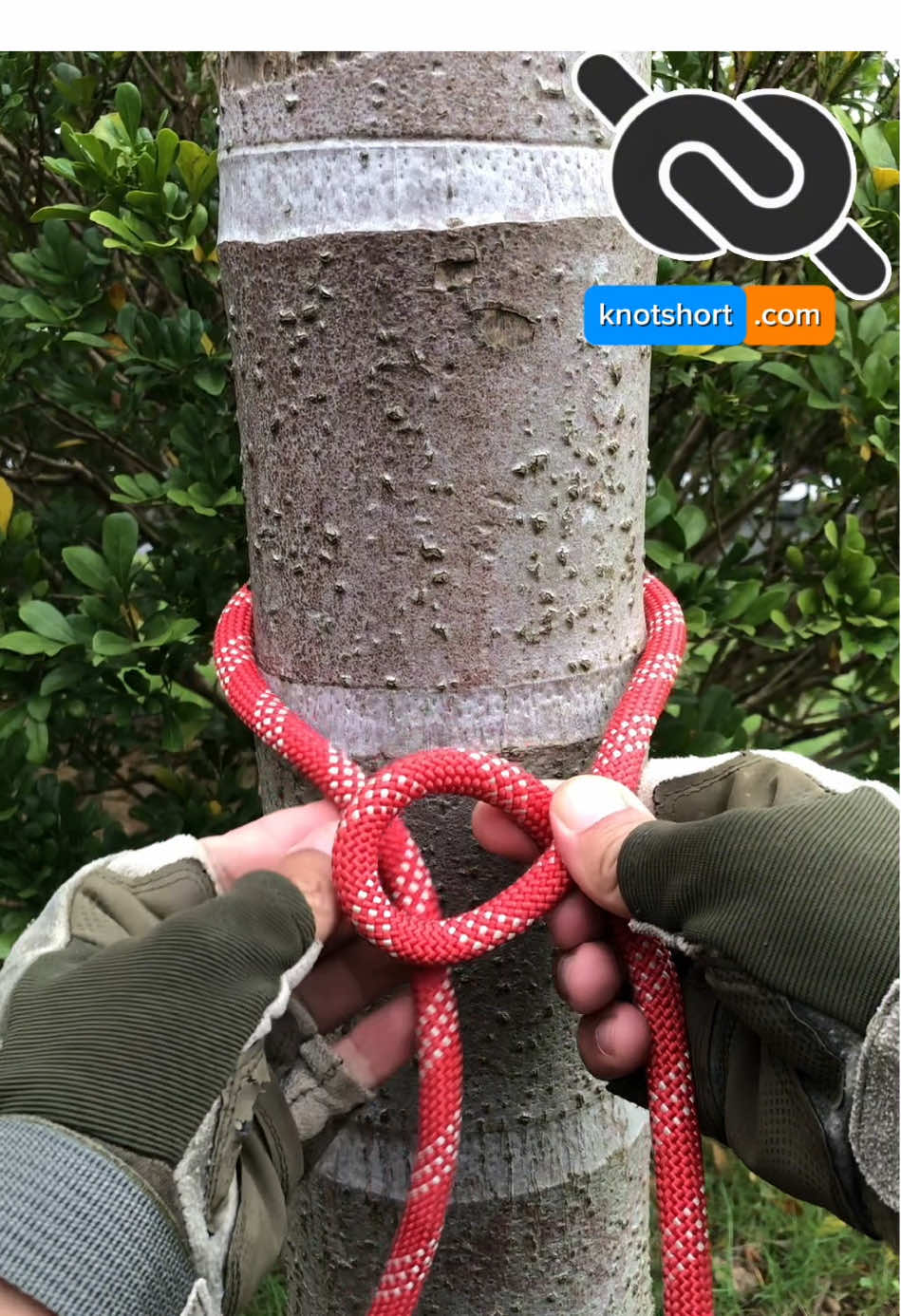 Simple Trick Tie a Quick Release Knot Fast #knotshort 