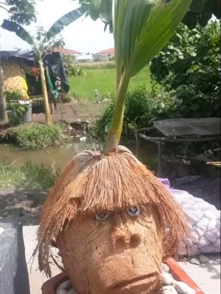 Nag salita na ang Niyog pasensya na.. hahaha