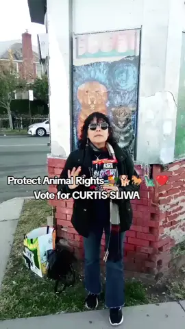 #Curtissliwafornycmayor #protectanimalrights #animalsforcurtis #foryou #foryoupage 