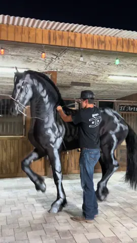 El patrón #ranchomh #ranchomhaz #litohernandez 