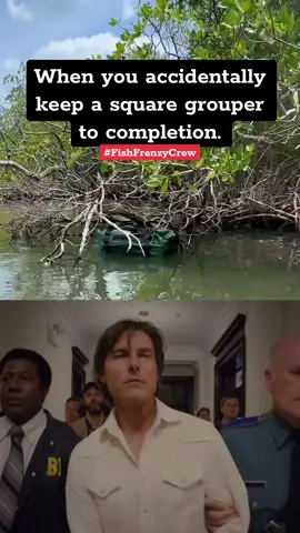 I know it’s a test if/when you come across a square grouper but I’m here to tell you I’m failing that test every time. 🫡☠️ #fishfrenzycrew #squaregrouper #fishfrenzycrewmeme #fishingmeme #florida 