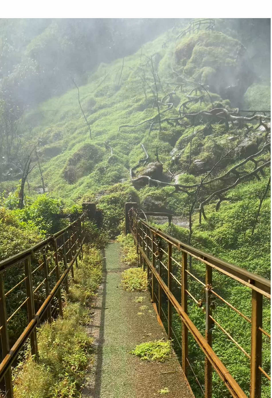 Đi lạc ở Đắk Nông #thac72dakglung #daknong #dakglung #travel 