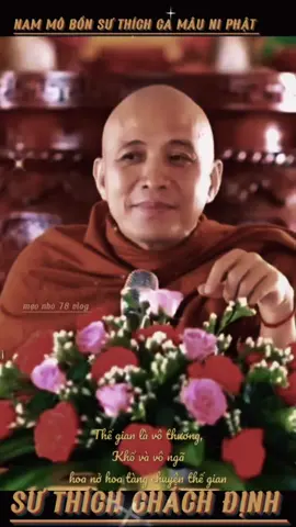 Thế gian này vô thường#thichchanhđinh #phatphap #phatphapnhiemmau #tinhthuc #adidaphat 