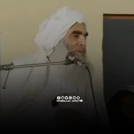 میں قسم کھا کر کہتا ہوں کہ جو شخص ختم نبوت کا کام کسی درجے کا کرے گا وہ جنتی ہے  مفتی حسن صاحب  #جمعیت_ایک_نظریہ_ہے_اپنالیجئے #viralvideo #foryouvideo #foryoupage #viraltiktok 