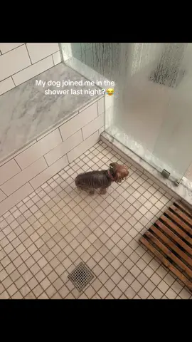 He didn’t wanna be alone 🤣 @I Can’t Even (via:@annie) 