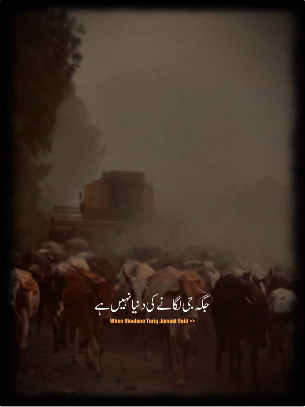 جگہ جی لگانے کی دُنیا نہیں ہے یہ عِبرت کی جاہ ہے تماشا نہیں ہے❤️‍🩹🥀۔ #fyp #photography #poetry #viral #unfrezzmyaccount 