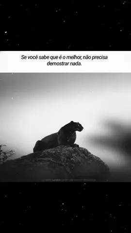 — Se você sabe que é o melhor, não precisa demostrar nada. . . @damon.ofcc . . . . . #fypreelsシ゚viralシ #fypageシ #fypreelsシ゚ #panteranegra #pantera