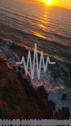 Anh có thể ôm em được không..  #nhacchillphet🎶 #nhachaymoingay🎧 #xuhuong #nhachottrend #mussicchill 