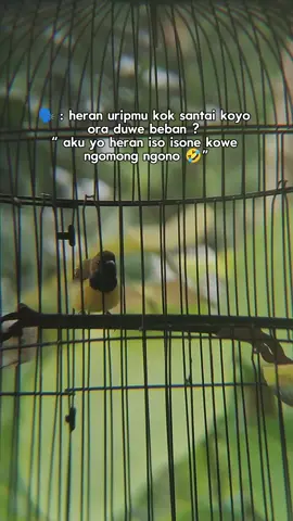 aku yo heran.  #fypviralシ #storykicaumania #fyp #aesthetic #CapCut 