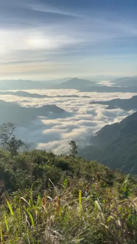 😢#เพลงม้งเพราะๆ #เธรดม้ง🌹🌸 