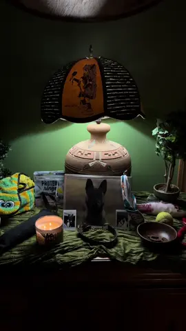 We love you 🏵️🦋