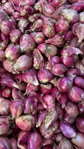 Bawang merah nya bunda readyyy yuk gercepin..  untuk jenis bawang bisa ditanya dilive ya bunda bunda 😊 #promomakangajian #fyp #bamer #bawangmerah 