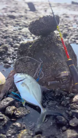 Spot sejuta umat🤪 . . . .#mancingmania #mancing #ultralightfishing #castingfishing🎣 #relixnusantara 