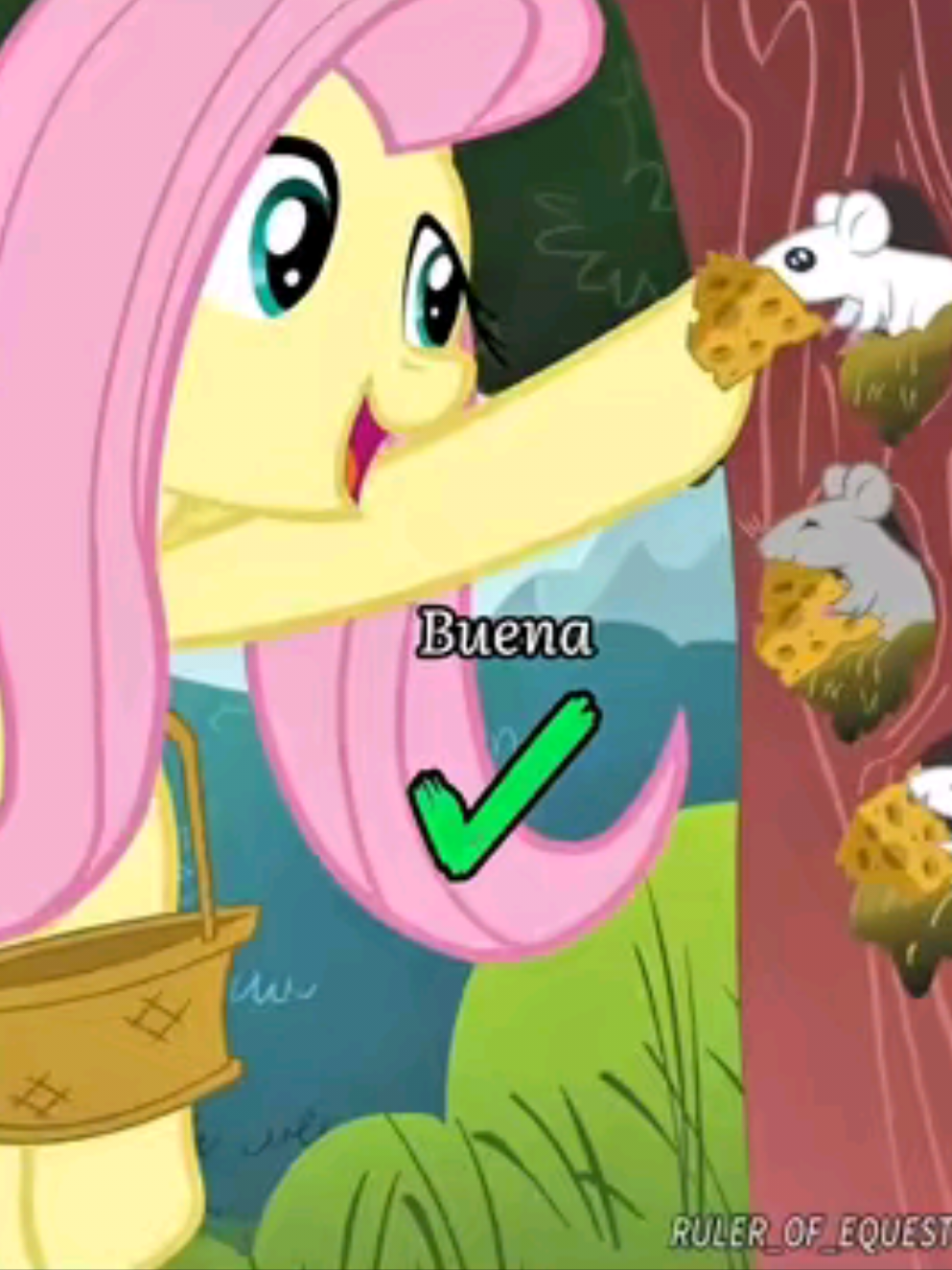 Fluttershy 9/10 #mylittlepony #mlpedit #fluttershy #fluttershymlp #feed 