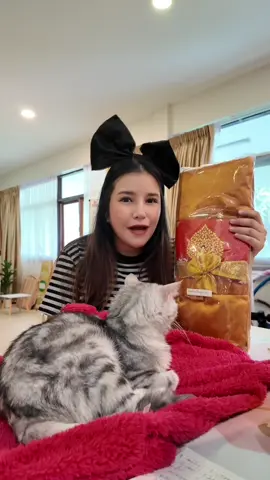 ผ้าไตร #ผ้าไตร #ผ้าไตรจีวรพระ #อลิสร้านขายผ้าไตร 