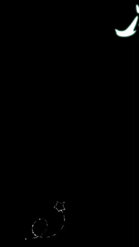 كل إنسان يملك قصتين .. قصة يعيشها ، و قصة يتمنى أن يعيشها .