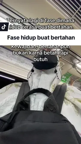 #fyp #xyzbca #masukberanda #kerjakeras #duniakerja 