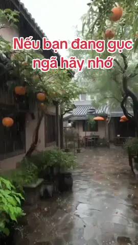 Nếu bạn đang gục ngã hãy nhớ #thichthanhvuong #phatgiao #loiphatday 