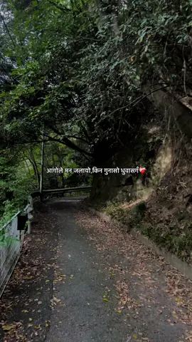 ❤️‍🩹#fypシ゚ more