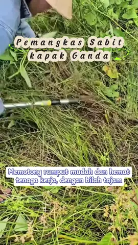 Sabit Arit Rumput Baja/30/40CM, Alat Sabit Baja Ranting Pohon. 🪓🧰😎⛺🥰#fyp #tools #kapak #sabit #foryou 