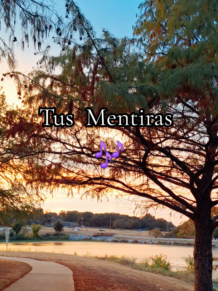Tus mentiras #tusmentiras #laoriginalbandaellimon #naturaleza #atardecer #musica 