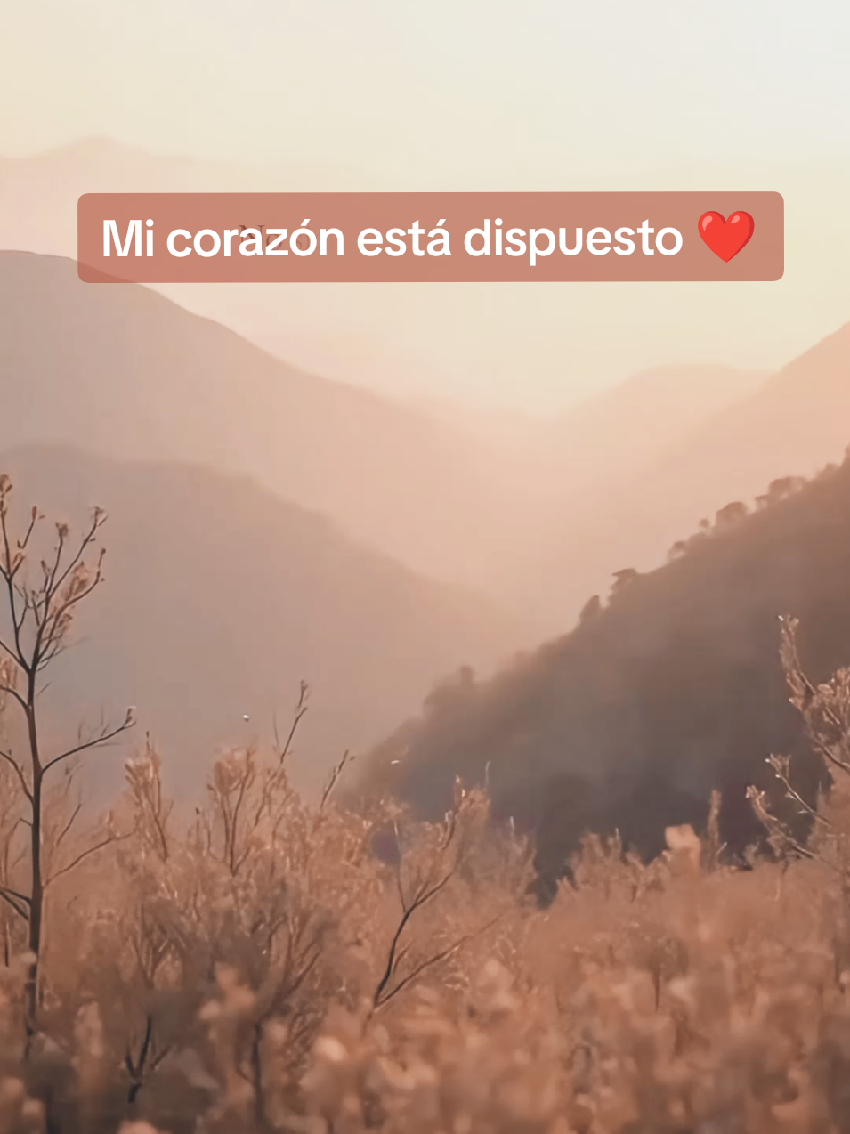 No se trata de ser fuertes, sino de confiar… 🤍 aun cuando todo se cae. 🎵 “Mi corazón está Dispuesto” — música original de 27CINC Inspirada en el salmo 57:7 🕊️ #27CINC #KpopCristiano #FaithPop #Confia #Proceso