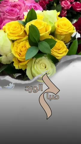 #صباحكم_أحلى_صباح🌹🌹 