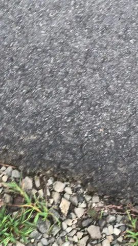 #beatkarbustyelkt⚡ #beatmelawi🚀 #beatkarbu 