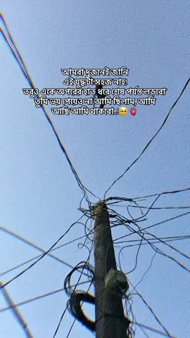 আমরা দুজনেই জানি  এই যুদ্ধটা সহজ নাহ! তবুও একে অপরের হাত ধরে শেষ পর্যন্ত লড়বো’ তুমি ভয় পেয়েও না আমি ছিলাম, আমি  আছি আমি থাকবো..!🥺🫀 #foryou  #the_spydoo 