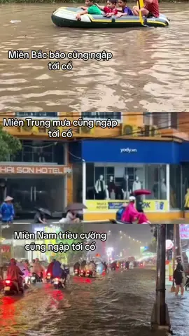 Cả nước cùng ngập #xuhuong #viral #hanoi #saigon #hue 