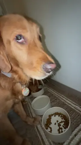 when it’s really me always next to them🫶