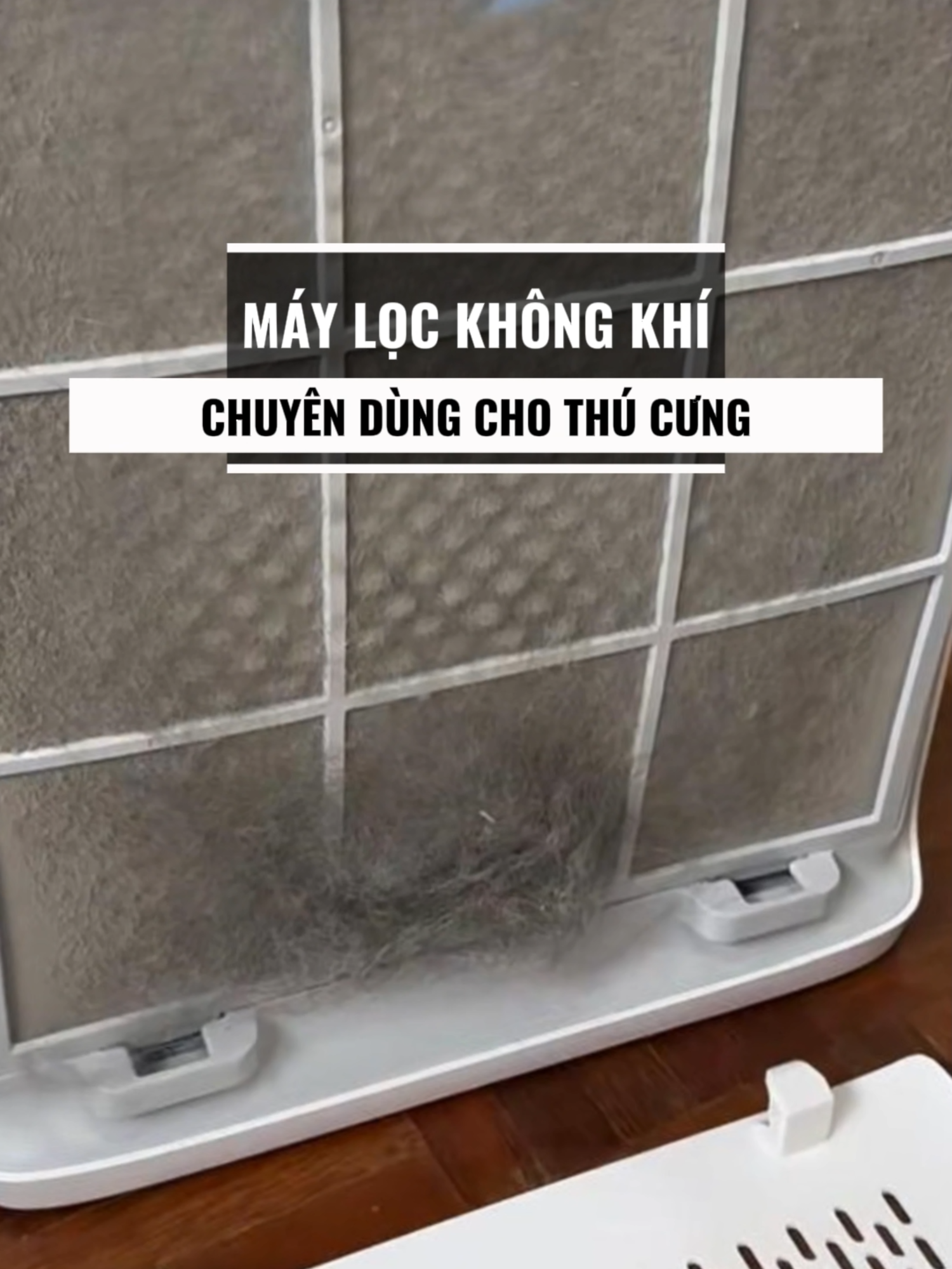 Nhà có thú cưng muốn mua máy lọc không khí thì chú ý điều này nha #thucung #levoit #maylockhongkhi