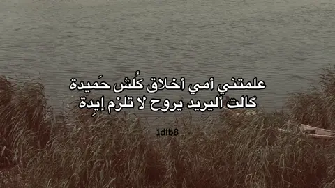 أليريد يروح لا تلزم إيِدة !! #fyp #foryoupage #fyppppppppppppppppppppppp #تصويري_احترافي_الاجواء👌🏻🕊😴 #عباراتكم_الفخمه📿📌تجبرني_انشر  @عبودي 📸  @✨🕊️  @ســوالـف روح 