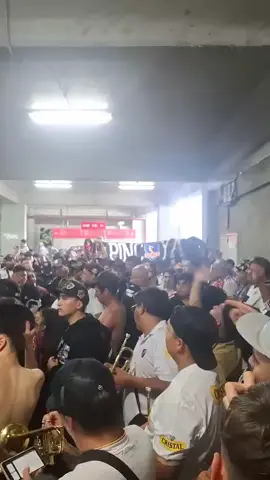 la pincoya presente 🤟🏽🤍🖤👿#colocoloeternocampeon #garrablanca⚫⚪🖤 #enfasis🍀🗽 #kizazoooooo65🍀65🦾💪 #kankanx100pre 