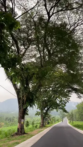 #foryoupageofficiall #storyjowo #jalanterkini #jowpride #foryouofficial 